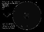 patte de chat NGC1935 36 37