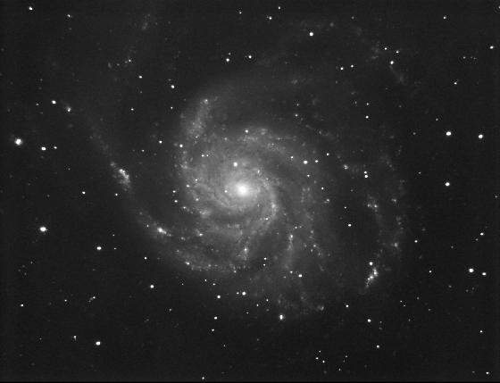 M101