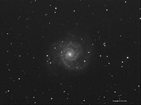 M 74