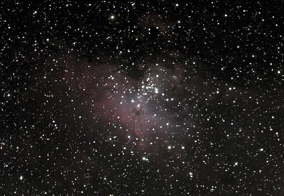 Doublet Fluorite Vixen FL102S/920