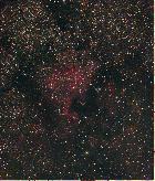 ngc 7000 nébuleuse amérique du nord