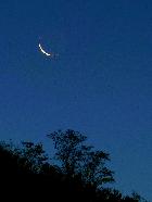 croissant tout chaud ...