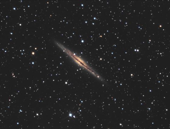 NGC891