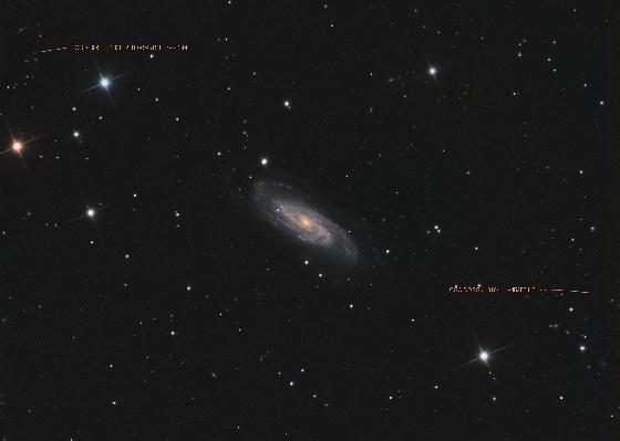 NGC 3198 QSO