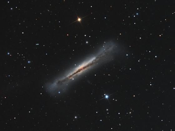 ngc3628