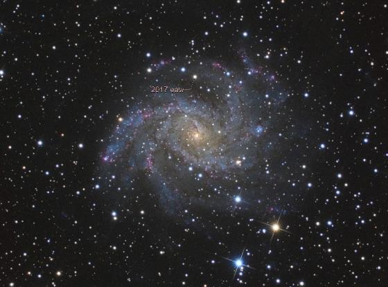 ngc6946
