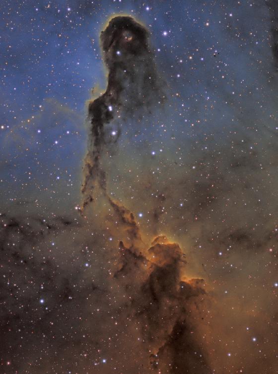 IC1396