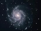 M101