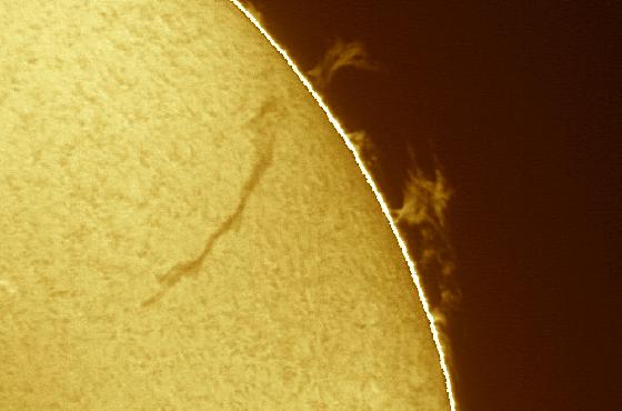 protus du 28-09-2016