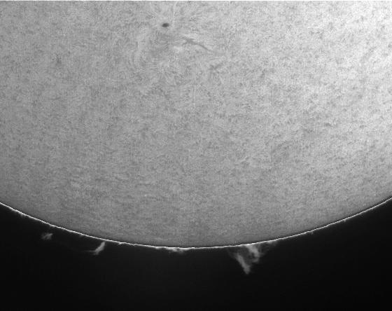 protus + tache du 10-10-2016