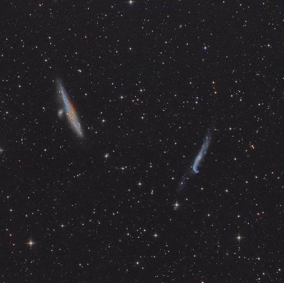 baleine et la crosse LHaRGB