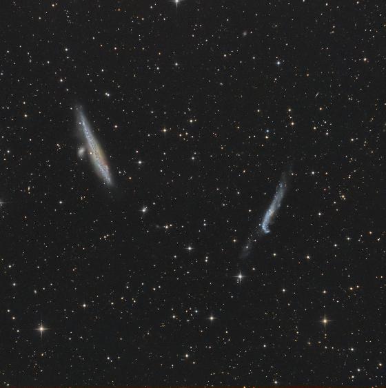 La Baleine et la Crosse en LRGB