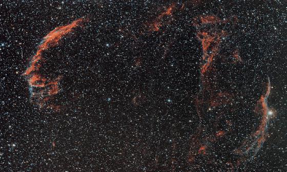 les dentelles du cygne