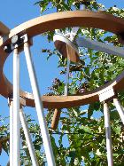 Dobson 300 de voyage vue couronne de dessous