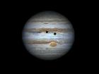 Jupter rend visite à Neptunion31