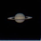 SATB2 260 1 WHITE.jpg