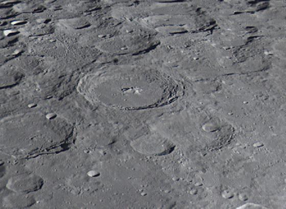 MORETUS POLO REPRIS CADRE