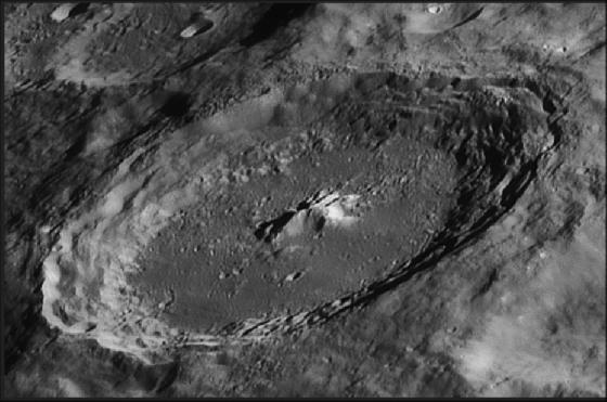 moretus Marco Guidi 600mm