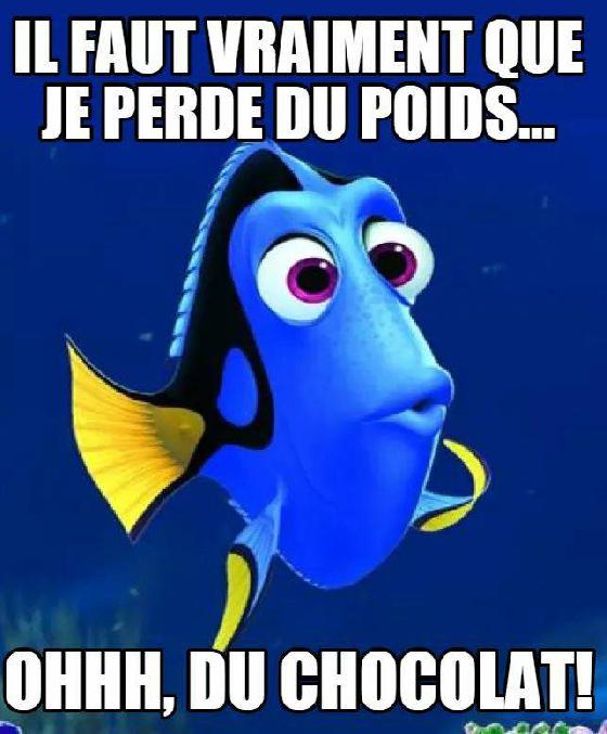 chocolat