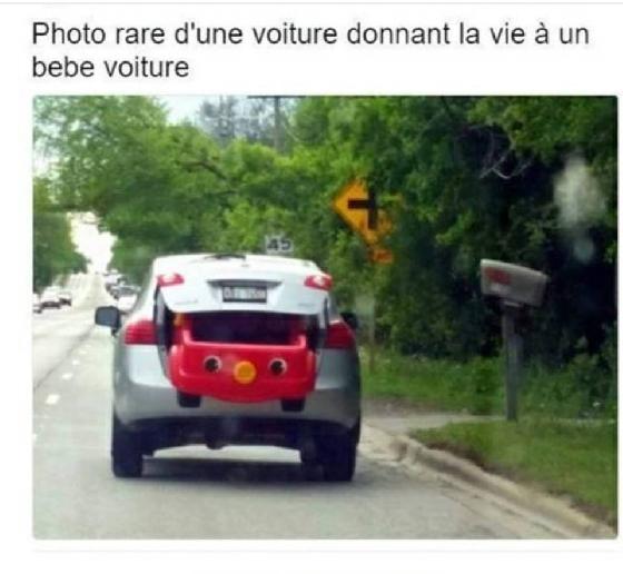bebe_voiture