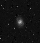 M95 - L
