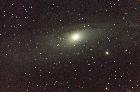 M31