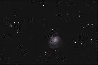 M101