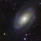 M81