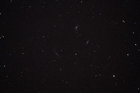 Triplet-Lion_brute_2