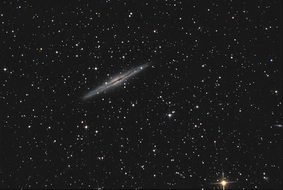 ngc891_full_50