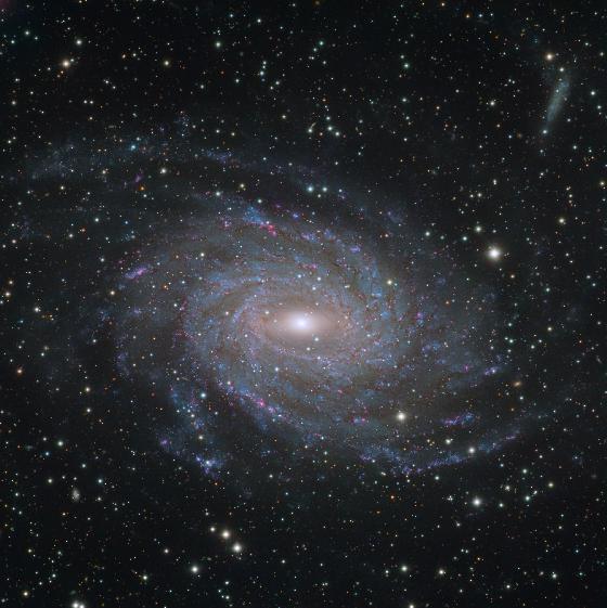 ngc6744-Chiletelescope 50%