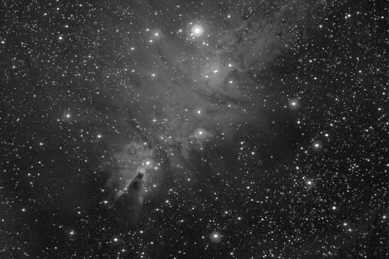 ngc2264_crop