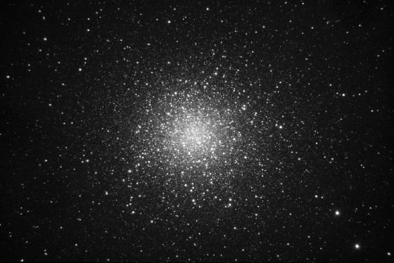 M13