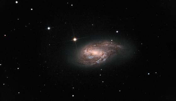 M66