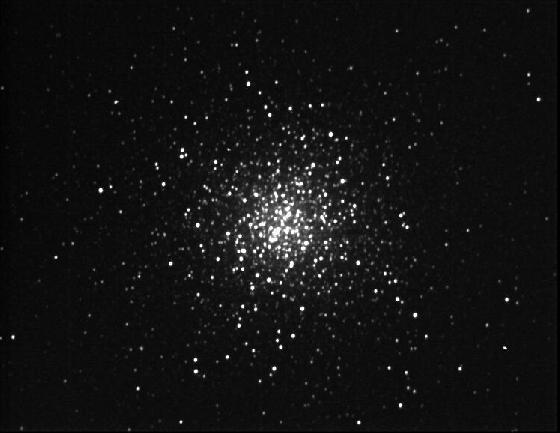 M13