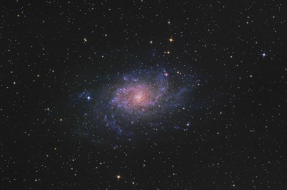 M33