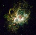 Nébuleuse M33