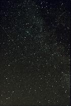 Aigle pour Guillaumedu59 (1/2)