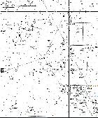 Aigle pour Guillaumedu59 (2/2)