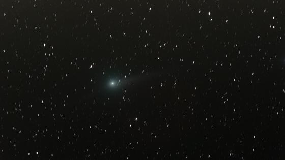 V2-Johnson - A7S - champs large2