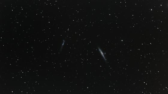 ngc4631-ngc4656-ngc4657 la baleine et le crosse de hockey - a7s