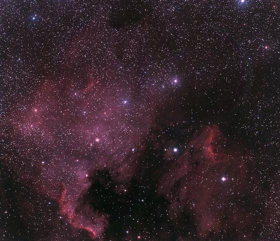 IC5070 Pélican - NGC7000 North America - 50pc capteur