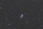 M51