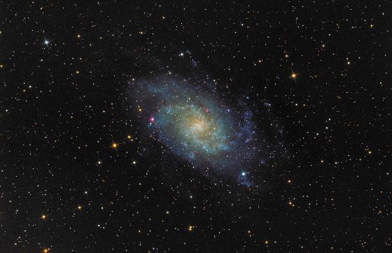 M33