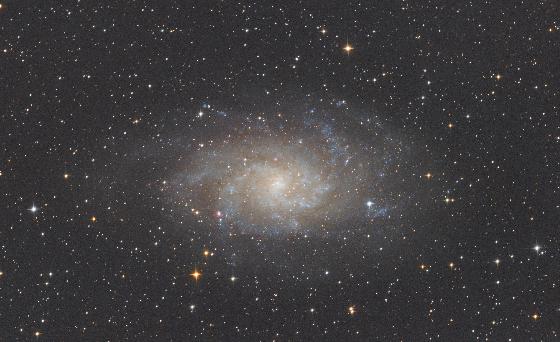 M33