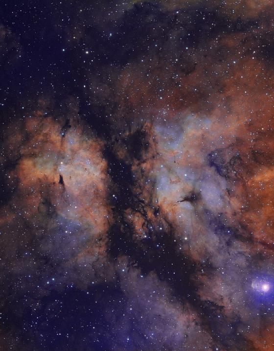 ic1318
