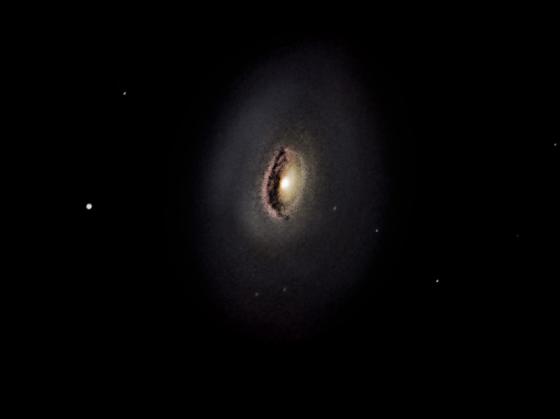 M64