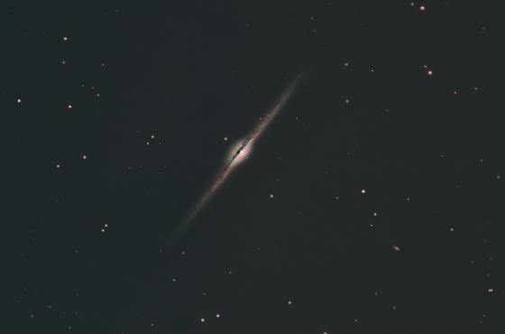ngc 4565