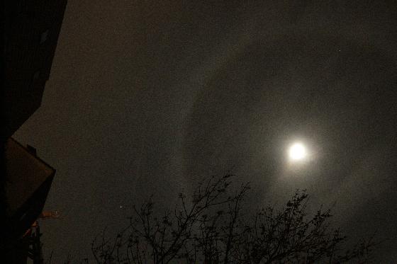 Halo lunaire 08-02-2017