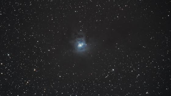 Nébuleuse de l'Iris NGC 7023